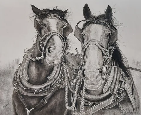 Working Horses — Charcoal drawing by Kevin Swainson